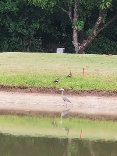 Golf Course «Heron Lakes Golf Course», reviews and photos, 7910 North Sam Houston Pkwy W, Houston, TX 77064, USA