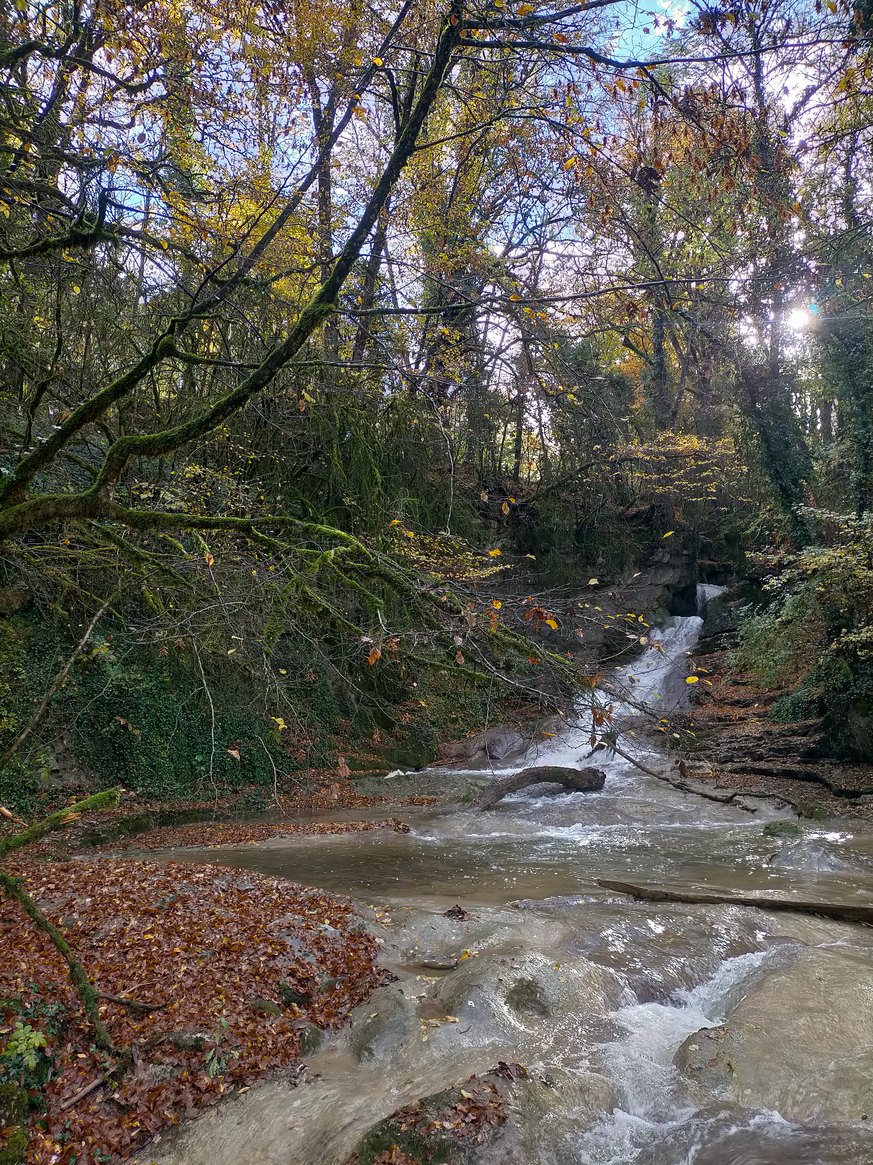 Photo n° 1 de l'avis de Pierre-Marie.a fait le 02/11/2021 à 09:55