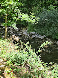 Cirque de Saint-Même du Restaurant la peche a la truite à Saint-Pierre-d'Entremont - n°1