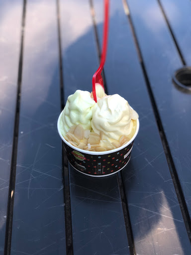 Frozen Yogurt Shop «Red Mango», reviews and photos, 61-47 188th St, Fresh Meadows, NY 11365, USA