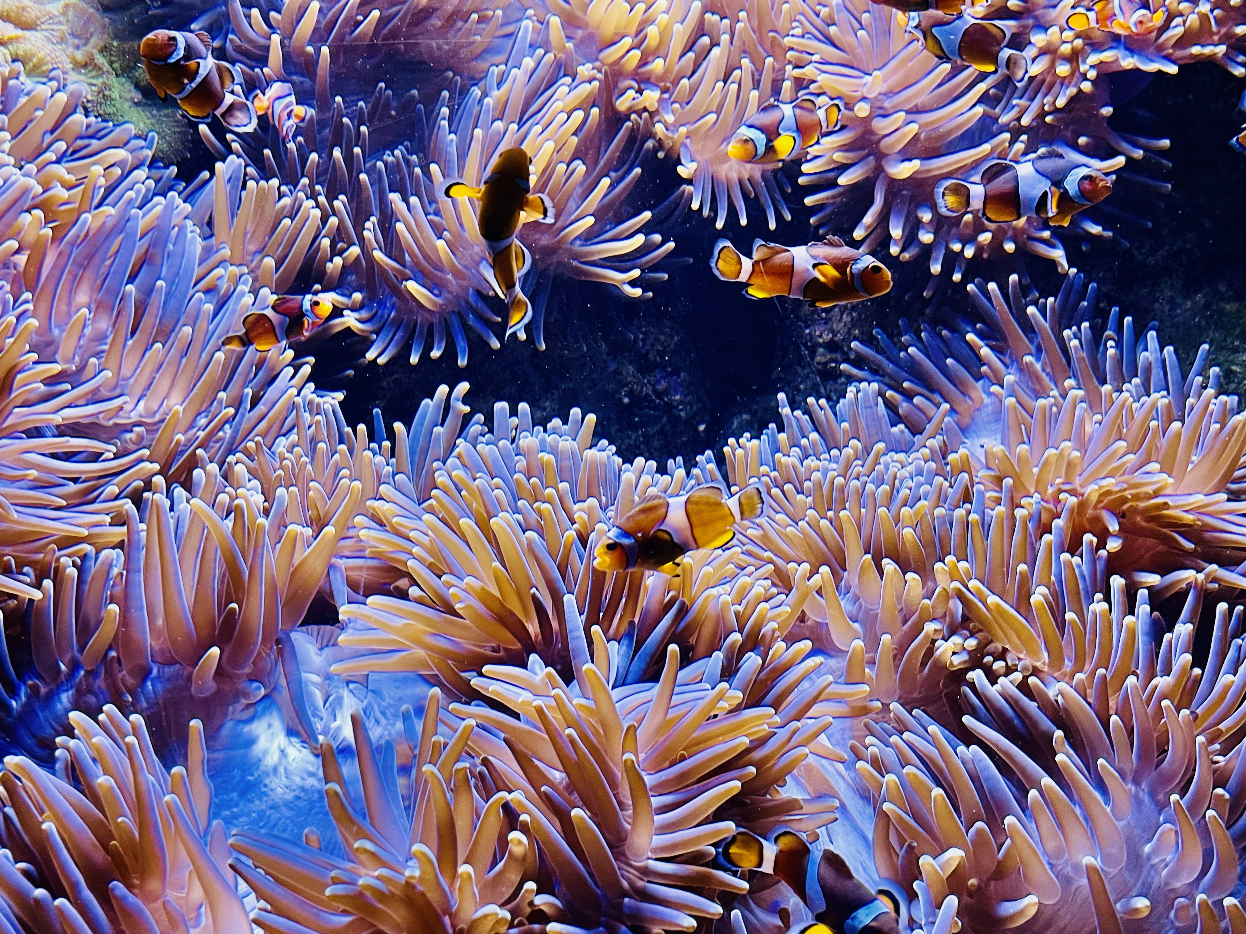 Photo n° 5 de l'avis de Key.e fait le 25/11/2023 à 21:27