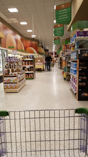 Supermarket «Publix Super Market at Camden Woods Shopping Center», reviews and photos, 1601 Ga Highway 40 E, Kingsland, GA 31548, USA