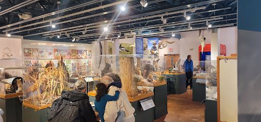 Natural History Museum «George B. Dorr Museum of Natural History», reviews and photos, 105 Eden St, Bar Harbor, ME 04609, USA