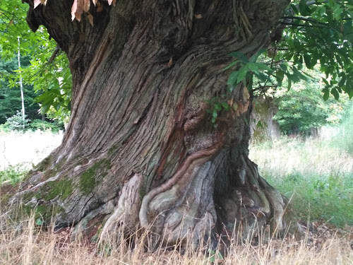 Mon père ce héros à Le Val-d'Ocre