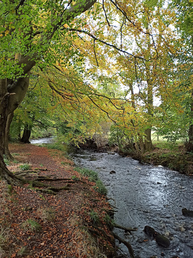 River Washburn