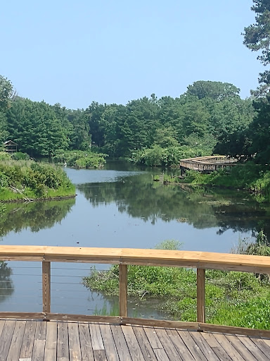 Park «Cypress Wetlands», reviews and photos, 1700 Paris Ave, Port Royal, SC 29935, USA