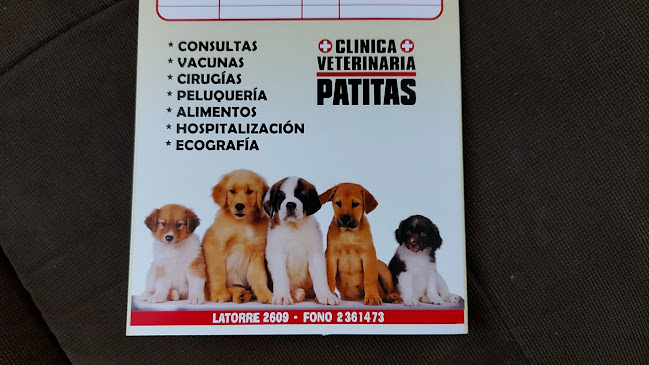 Soc Veterinaria Alvarado Formigli "Patitas"