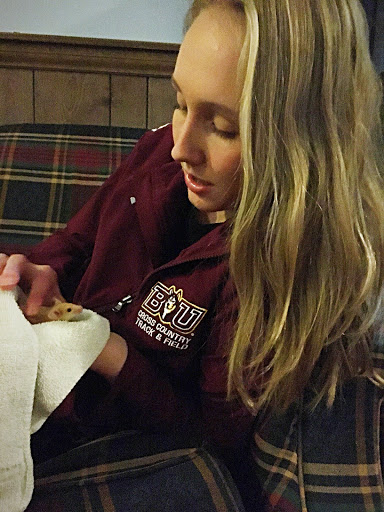 Pet Supply Store «PetSmart», reviews and photos, 1742 E 3rd St, Williamsport, PA 17701, USA