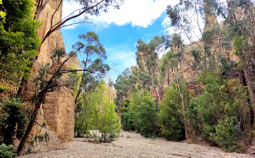 Valle de las Agujas: Trekking