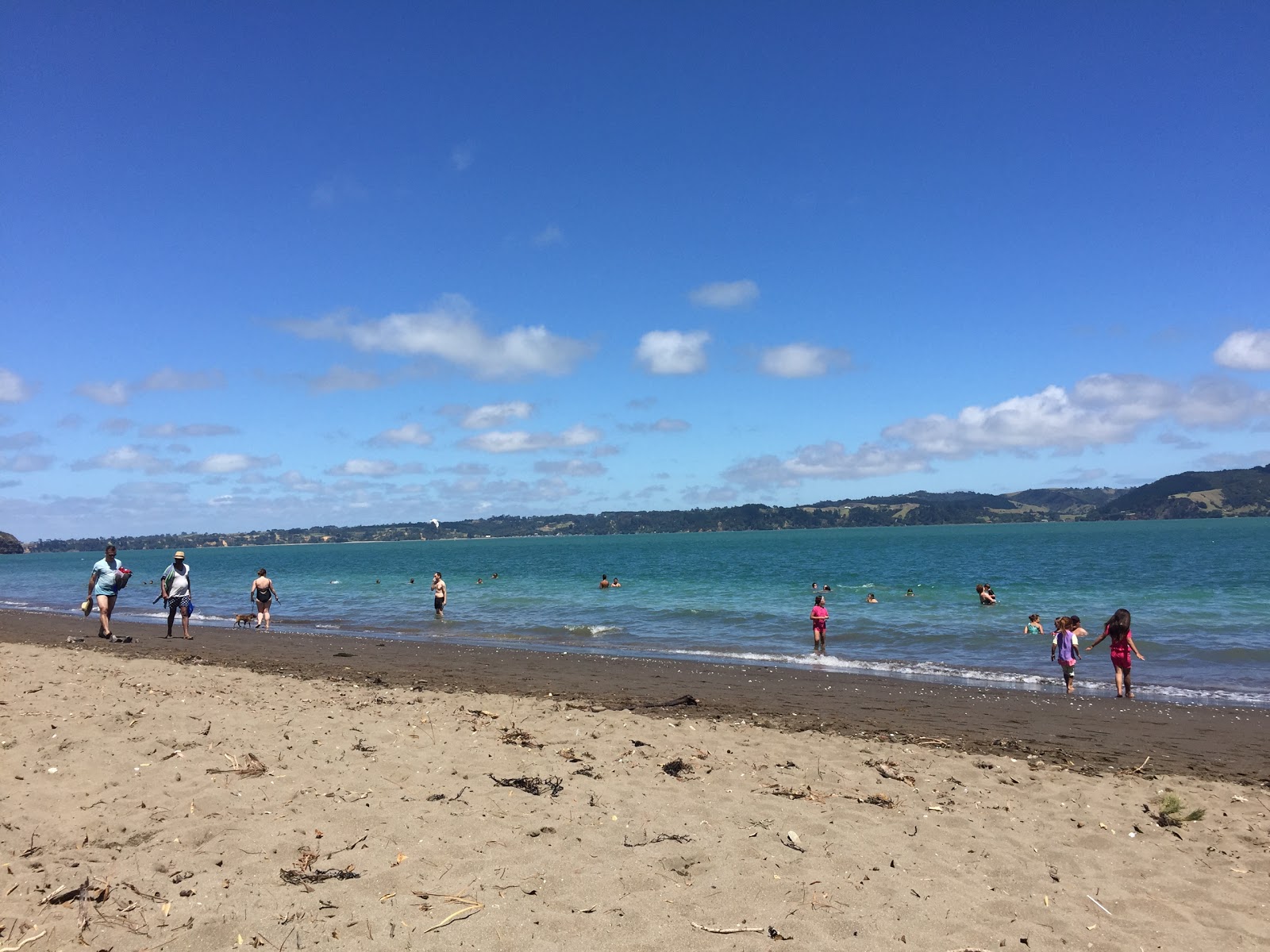 Kaitarakihi Beach的照片 带有碧绿色纯水表面