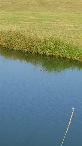 Golf Course «Bay Forest Golf Course», reviews and photos, 201 Bay Forest Dr, La Porte, TX 77571, USA