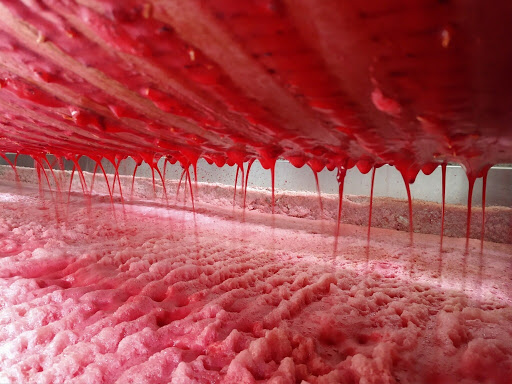 Winery «Bel Lago Vineyards & Winery», reviews and photos, 6530 S Lake Shore Dr, Cedar, MI 49621, USA