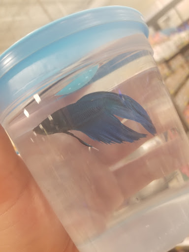 Pet Supply Store «PetSmart», reviews and photos, 1050 McKinley Pl Dr #30, San Marcos, TX 78666, USA