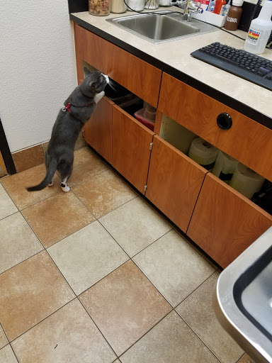 Pet Supply Store «PetSmart», reviews and photos, 10600 Melody Dr, Northglenn, CO 80234, USA