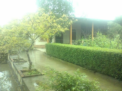 Vườn Mẫu Nam Phong