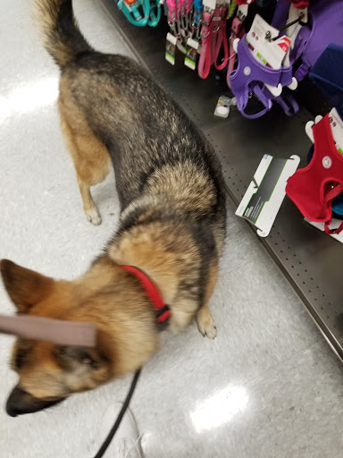 Pet Supply Store «Petco Animal Supplies», reviews and photos, 11398 Bandera Rd #403, San Antonio, TX 78250, USA