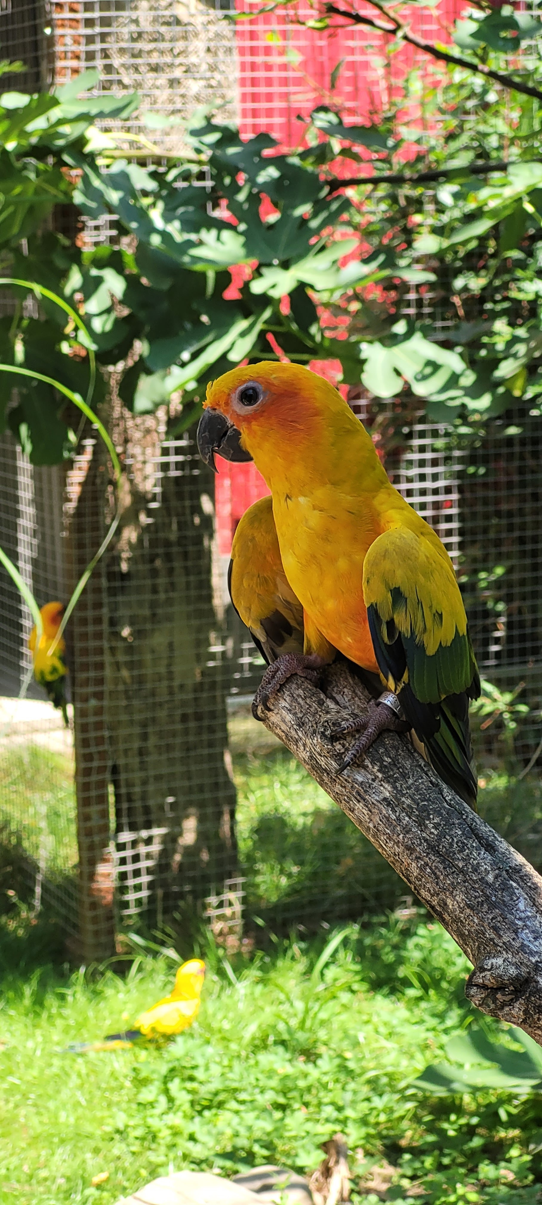 Photo n° 1 de l'avis de Francoise.i fait le 13/07/2022 à 21:54