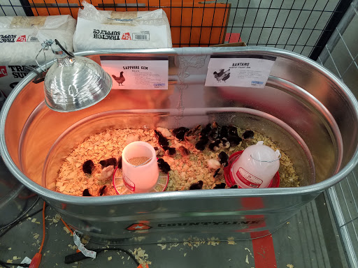 Home Improvement Store «Tractor Supply Co.», reviews and photos, 90 Marketplace Dr, Newnan, GA 30265, USA