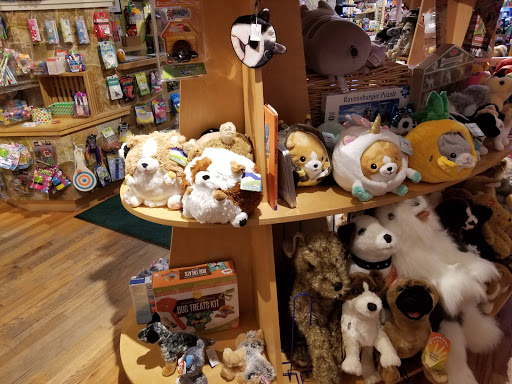 Toy Store «Treehouse Toys Ltd», reviews and photos, 47 Exchange St, Portland, ME 04101, USA