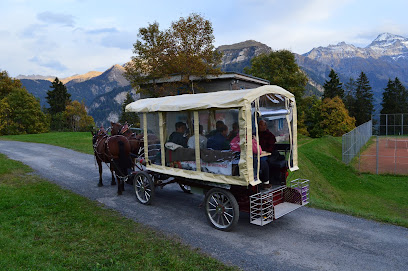 schuler-transporte.ch gmbh