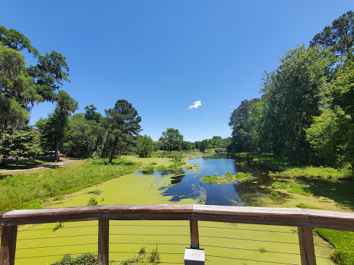 Park «Cypress Wetlands», reviews and photos, 1700 Paris Ave, Port Royal, SC 29935, USA