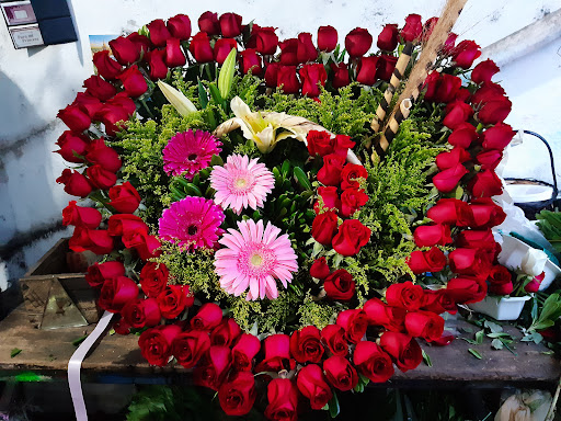 FLORICENTRO – Paso del Macho