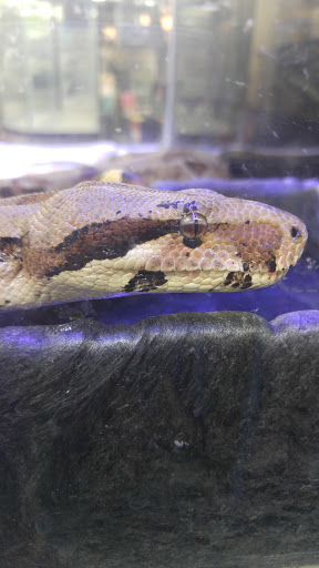 Pet Store «34 Pet Shop», reviews and photos, 3434 W Slauson Ave, Los Angeles, CA 90043, USA