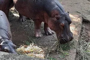 Bhamini zoo image