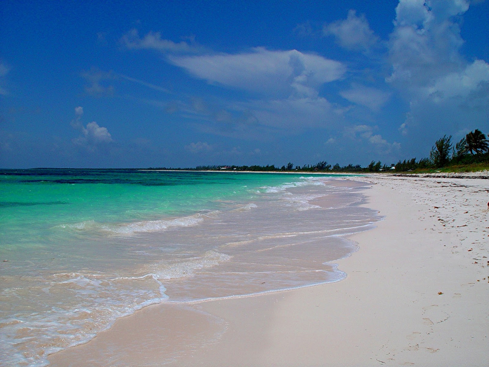 Foto van Double Bay beach met turquoise puur water oppervlakte