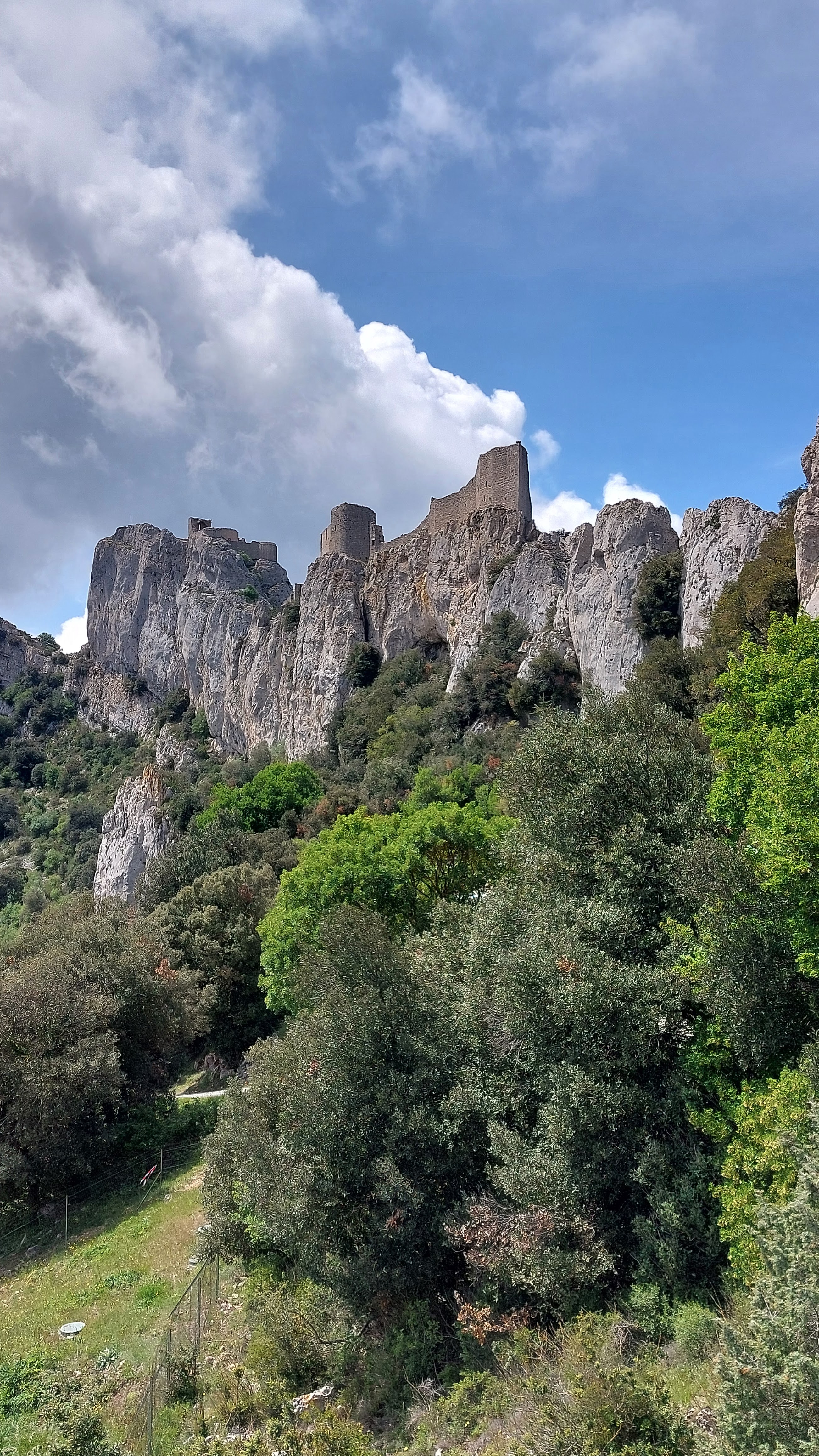 Photo n° 1 de l'avis de Caput.� fait le 17/05/2023 à 05:54