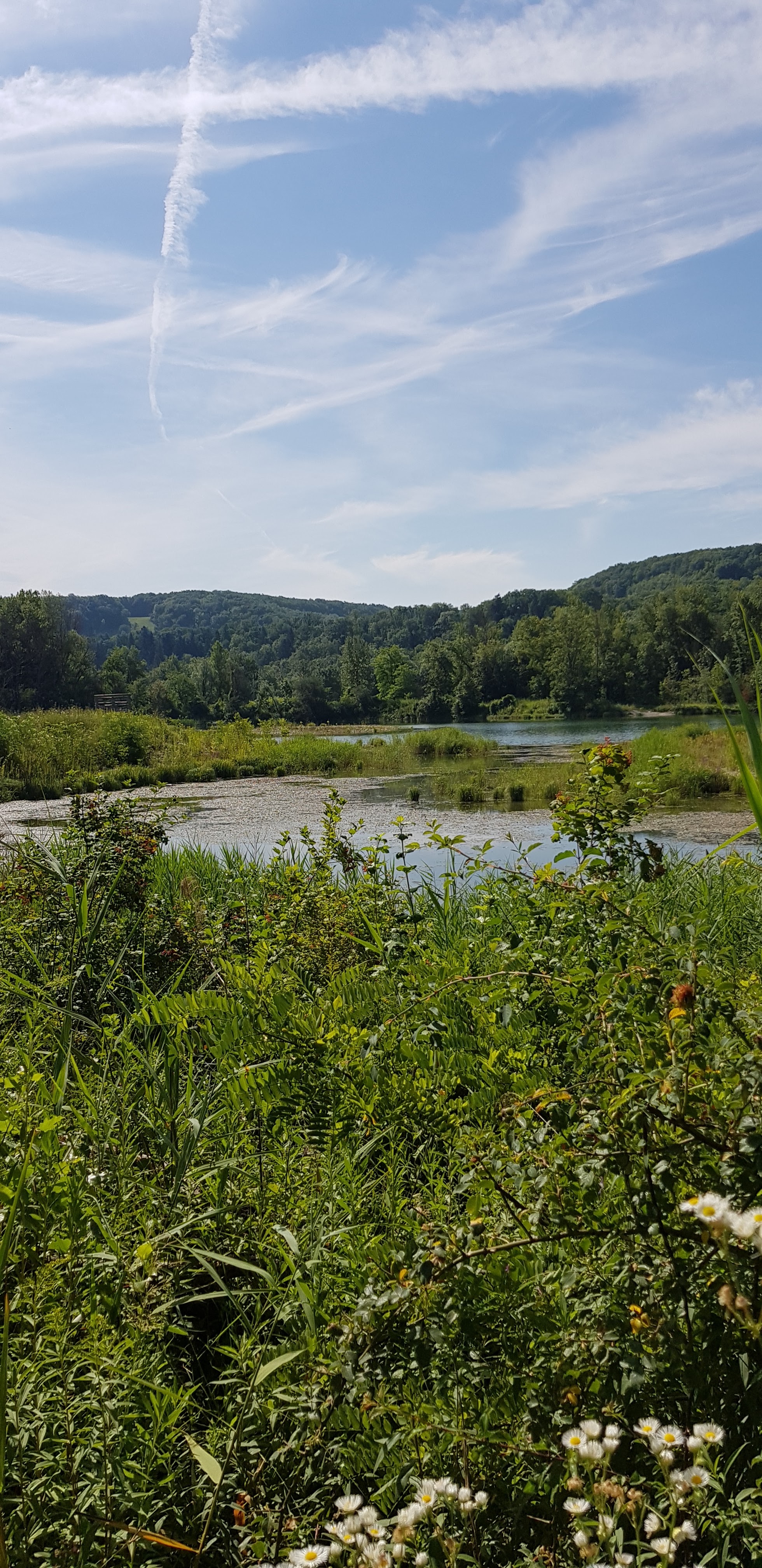 Photo n° 5 de l'avis de Val.i fait le 13/07/2018 à 14:12