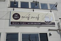 猫カフェmof.mof