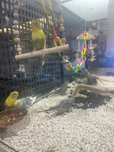 Pet Supply Store «Petco Animal Supplies», reviews and photos, 1945 W Palmetto St #250, Florence, SC 29501, USA