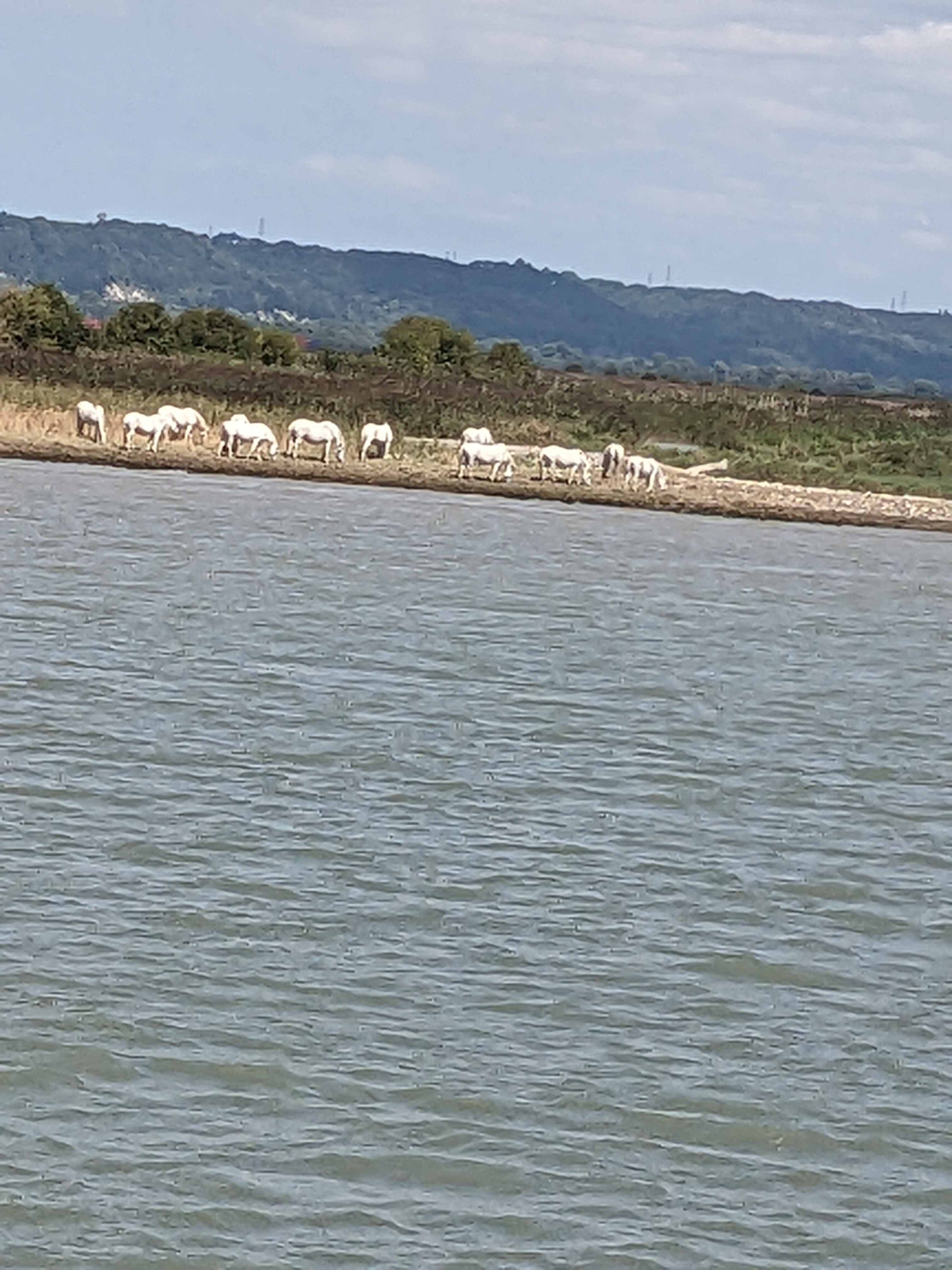 Photo n° 2 de l'avis de émilie.i fait le 22/08/2023 à 16:31