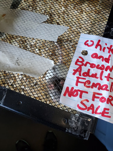 Pet Supply Store «Pets A Plenty», reviews and photos, 3925 NY-281, Cortland, NY 13045, USA