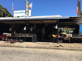 Feria Millahue