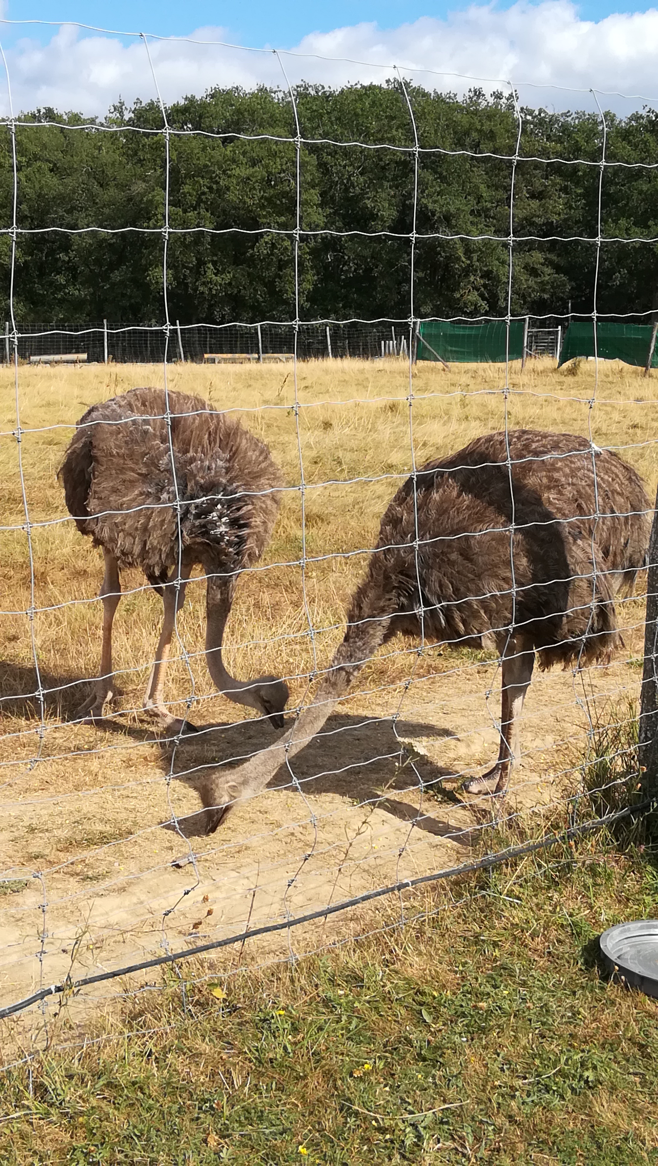 Photo n° 3 de l'avis de Elodie.e fait le 14/08/2018 à 16:43