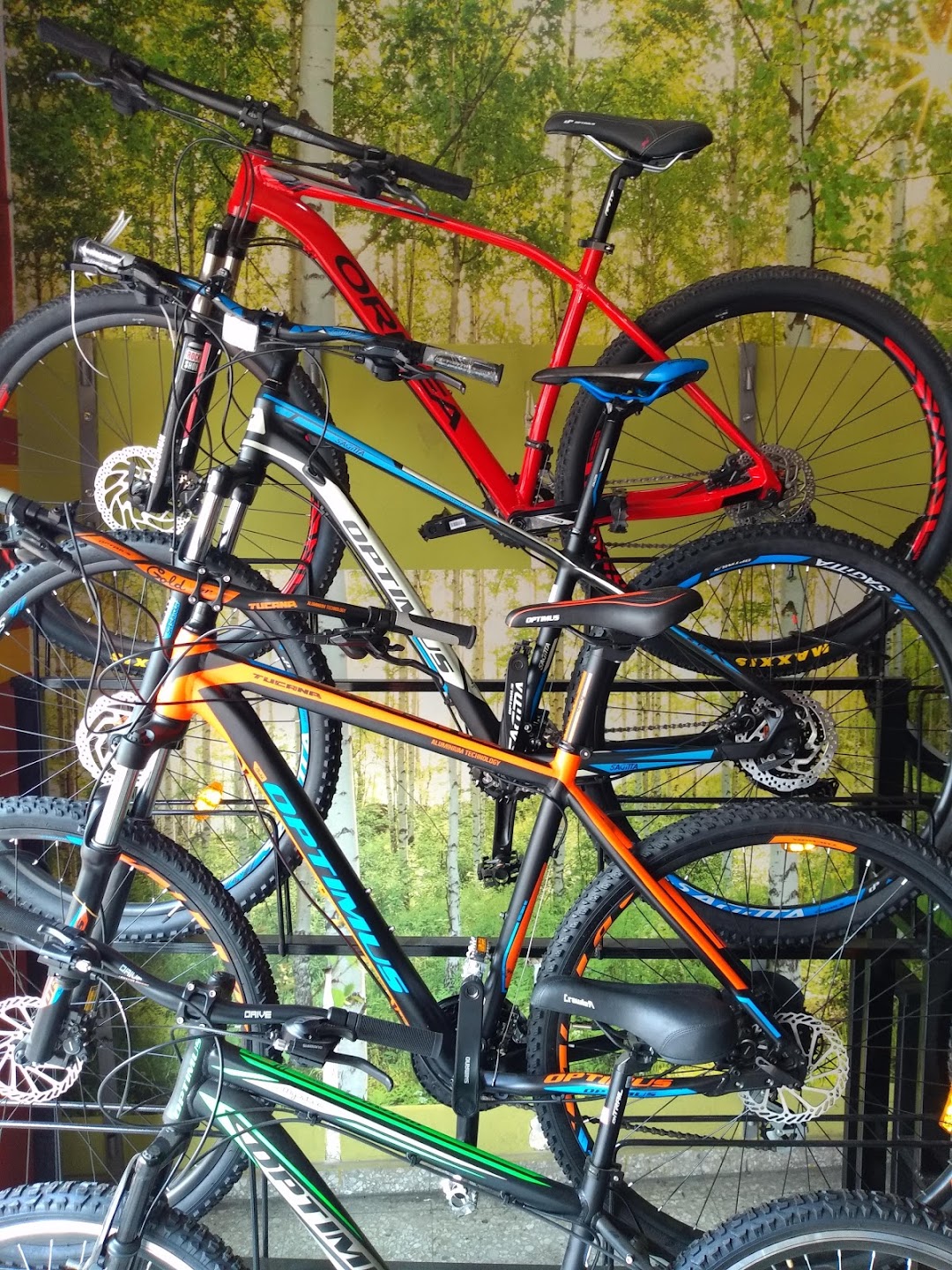 Bicicletería Milán
