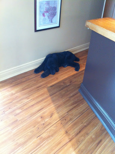 Social Security Attorney «Law Office of Kathleen L. Day», reviews and photos