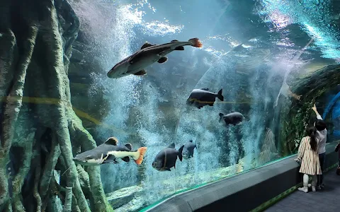 LOTTE WORLD AQUARIUM image