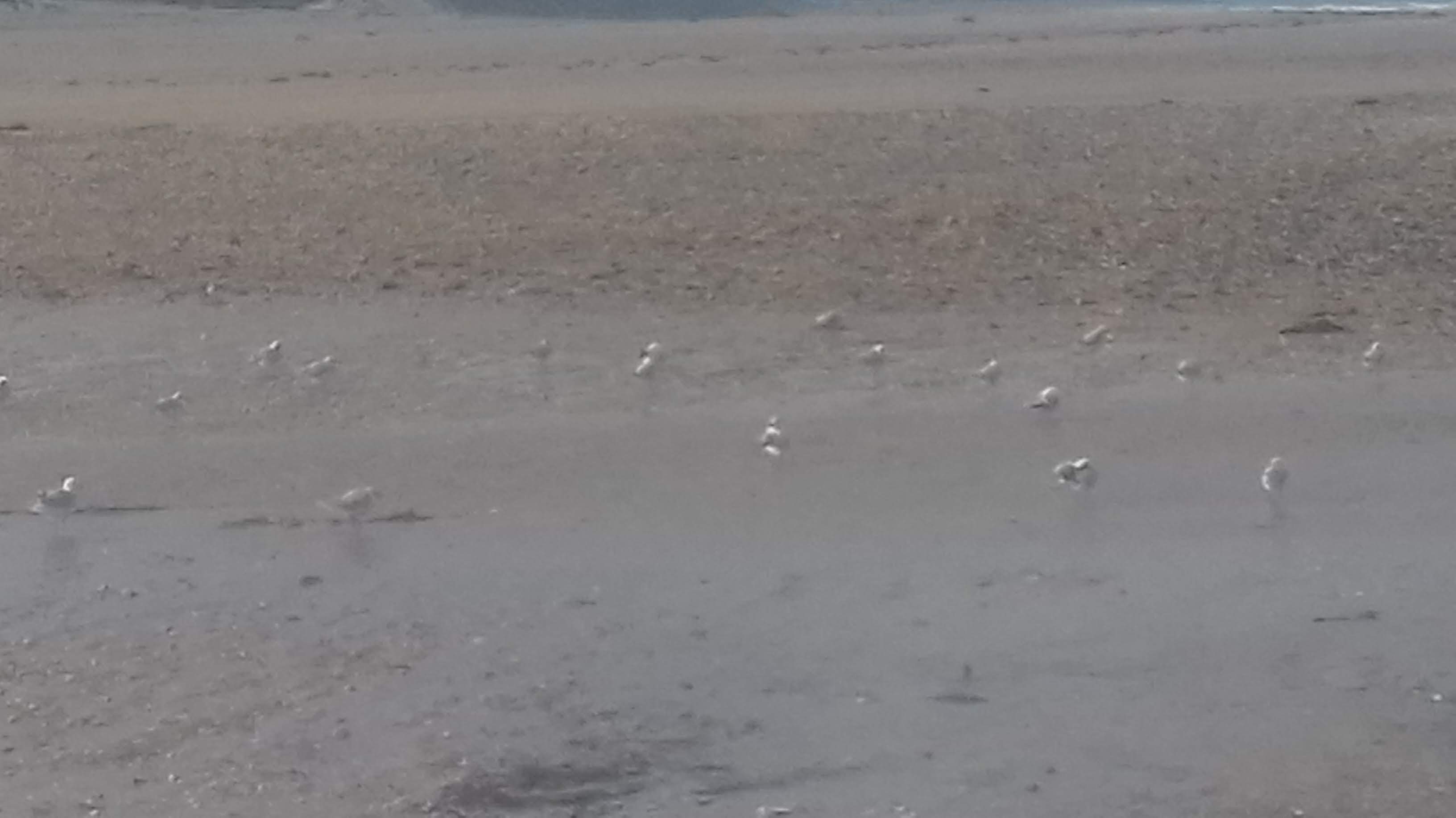 Photo n° 2 de l'avis de Patrick.e fait le 13/08/2019 à 08:25