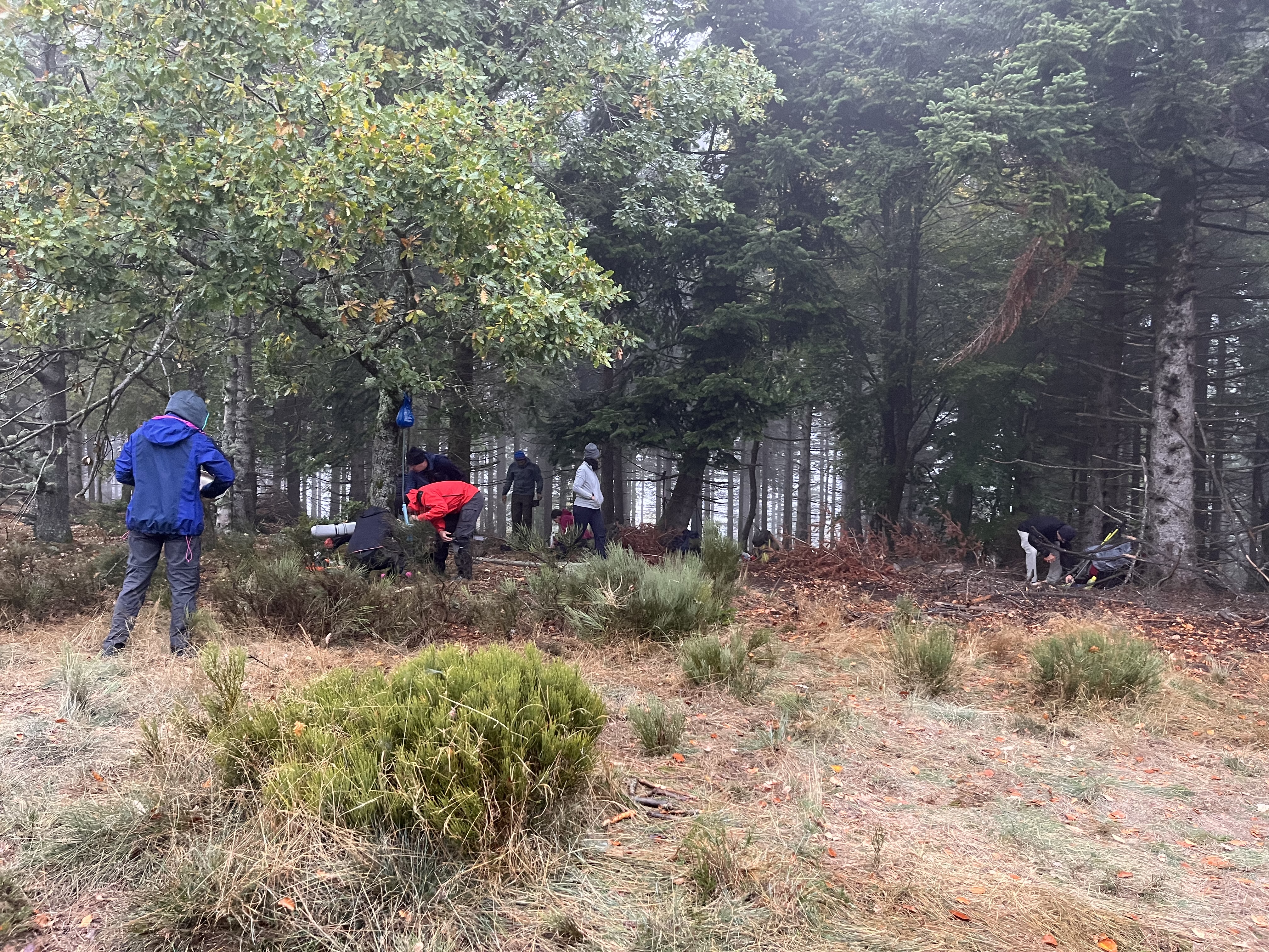 Photo n° 4 de l'avis de desiage.l fait le 02/11/2022 à 21:43