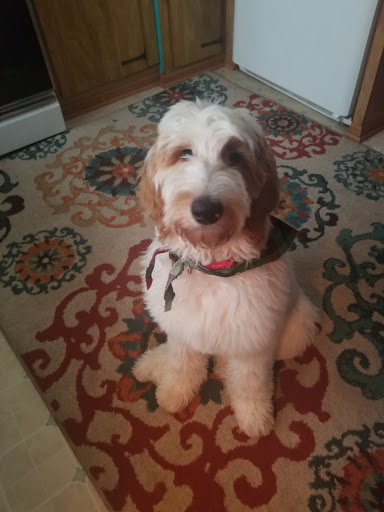 Pet Supply Store «Wags & Whiskers Pet Food, Supplies, & Grooming», reviews and photos, 1603 Losey Blvd S, La Crosse, WI 54601, USA