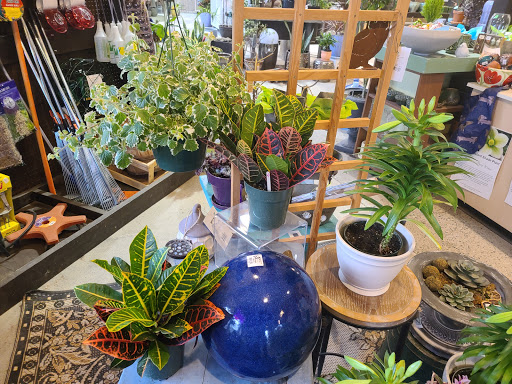 Garden Center «Victoria Gardens», reviews and photos, 1 Cottekill Rd, Rosendale, NY 12472, USA