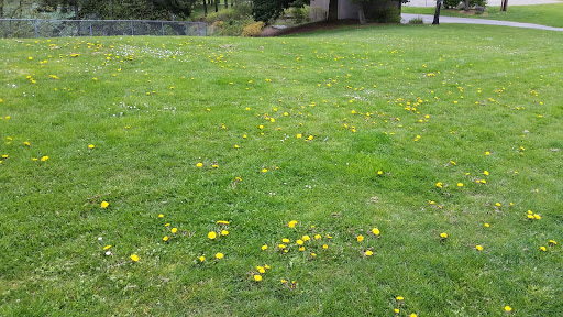 Park «Sacajawea Park», reviews and photos, 1401 S Dash Point Rd, Federal Way, WA 98003, USA