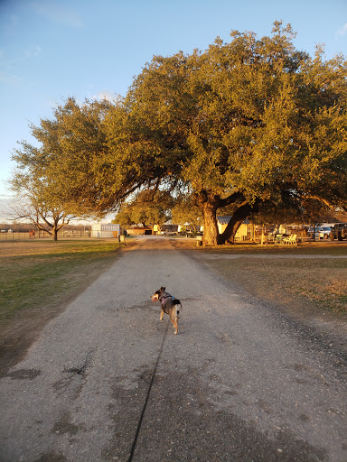 RV Park «Alamo River RV Ranch and Campground», reviews and photos, 12430 Trawalter Ln, Von Ormy, TX 78073, USA