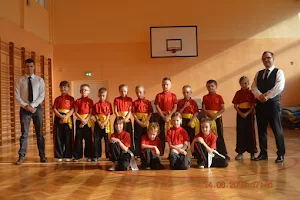 Chow Gar Kung Fu Lublin image