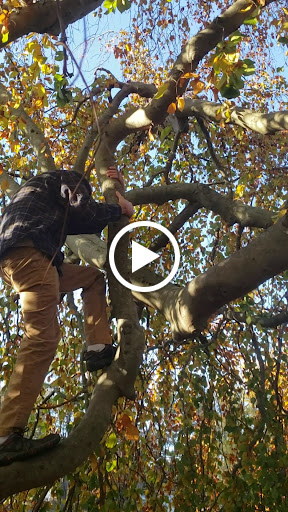 Tourist Attraction «Governor Ames Estate», reviews and photos, 35 Oliver St, North Easton, MA 02356, USA