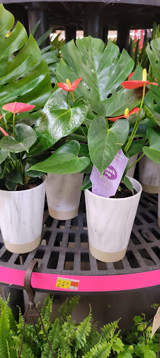 Department Store «Walmart Supercenter», reviews and photos, 150 Commerce Drive, Fairfield, IL 62837, USA