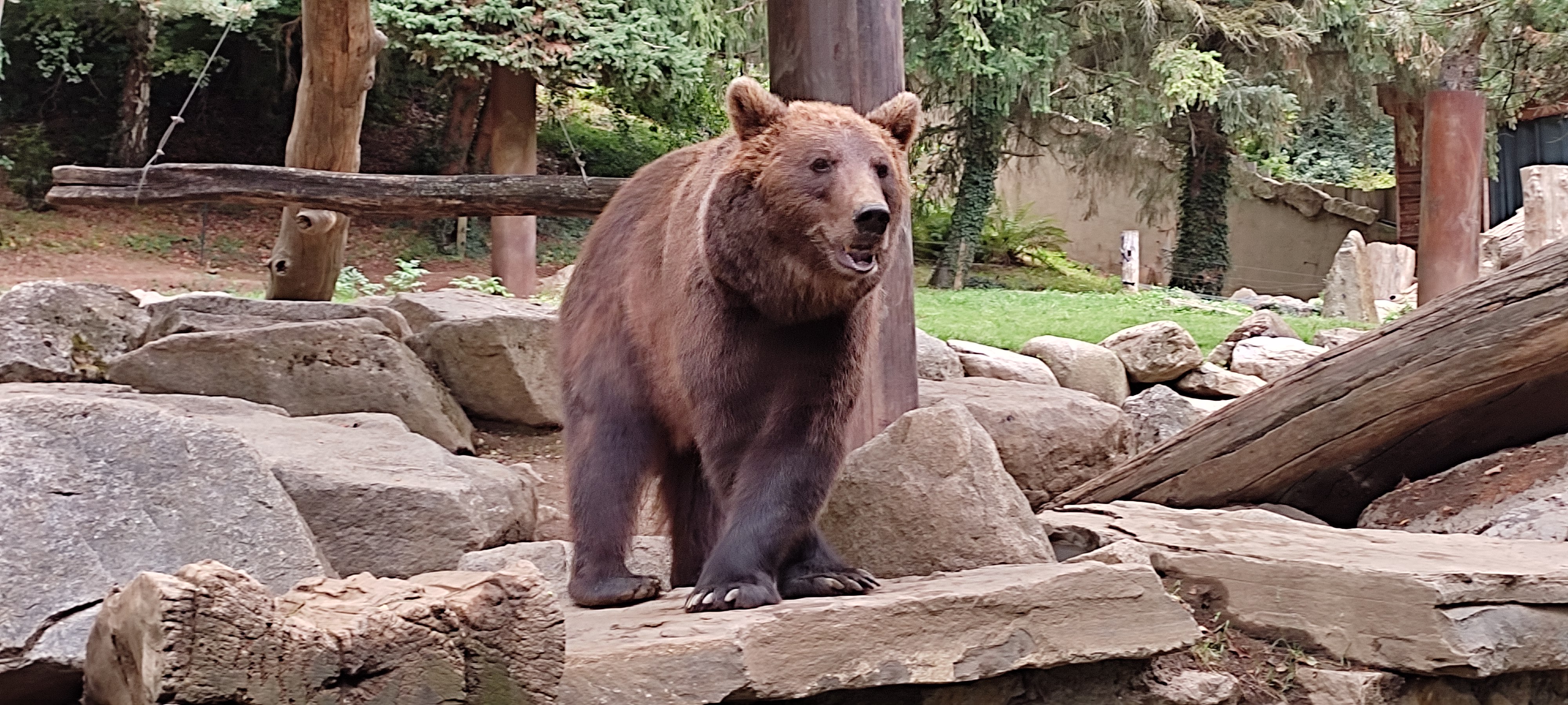 Photo n° 2 de l'avis de Jean-Michel.o fait le 02/08/2022 à 16:15